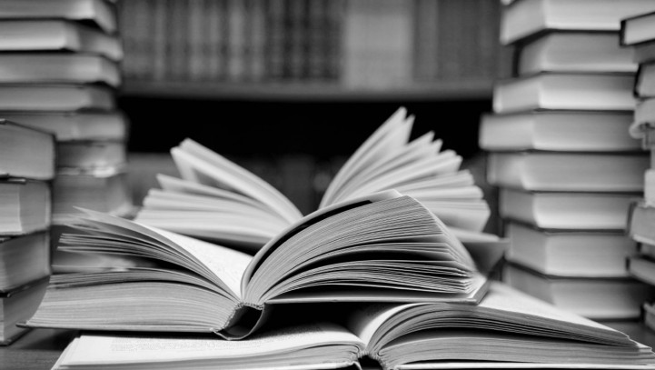 Constitutional and Administrative Law
